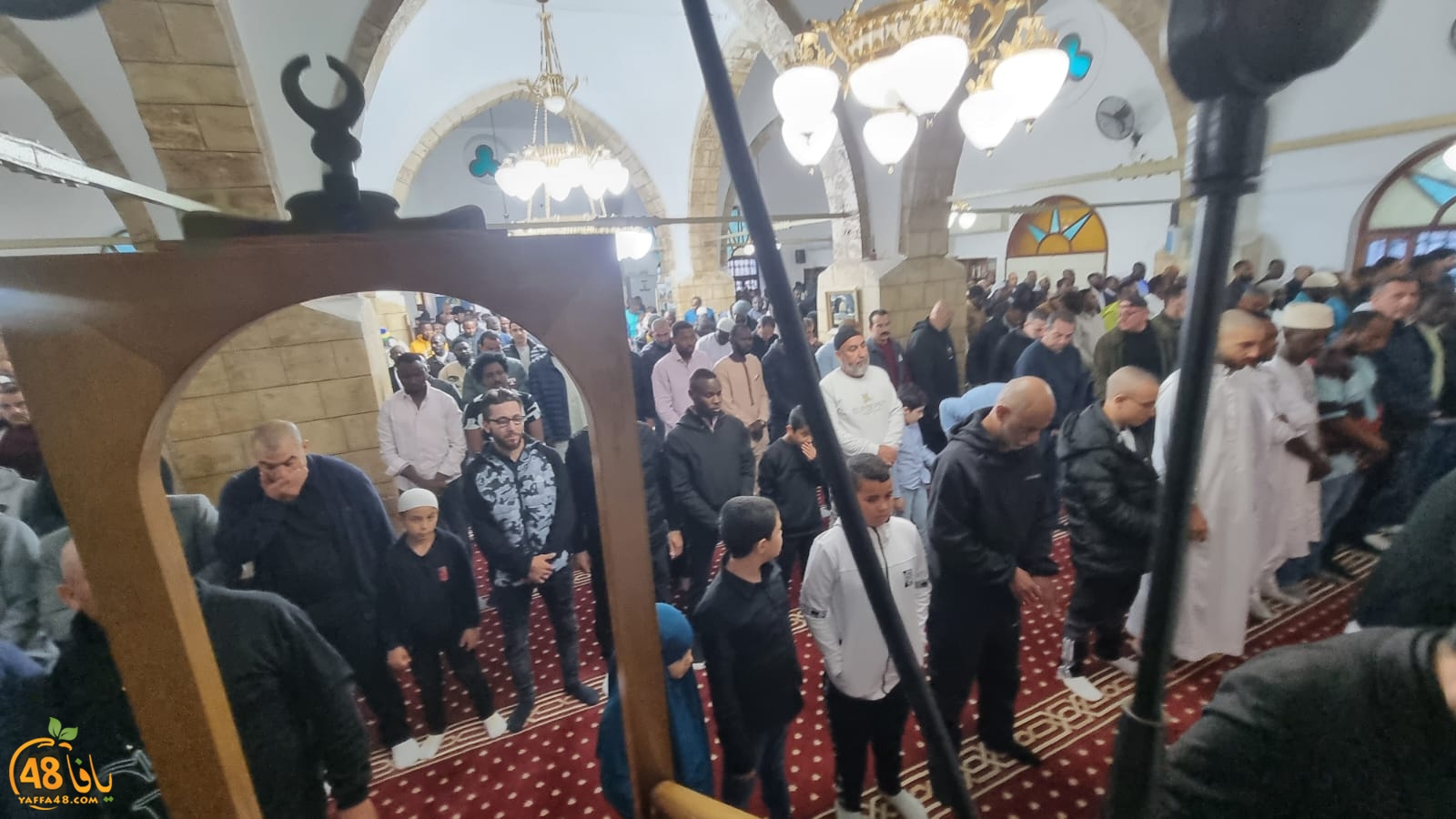 WhatsApp Image 2024-04-10 at 6.58.48 AM.jpeg